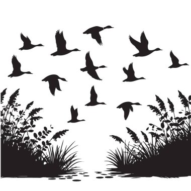 Bataklık 'ın üzerinde uçan ördeklerin silueti Doğa Aşıkları için Çizim