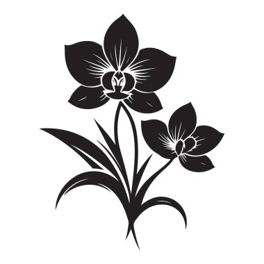 Siluet Siyah Orkide Çiçekleri Vektör Resmetme Grafik Kaynağı