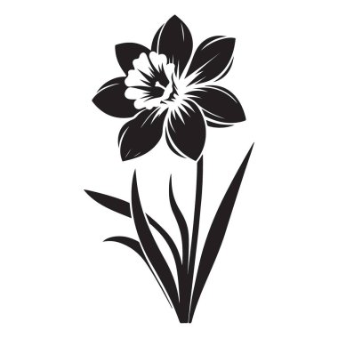Botanik Tasarımları için şık nergis çiçeği silueti çizimi