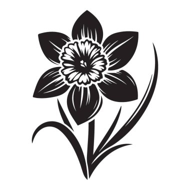 Bahar Tasarımları için şık Siyah ve Beyaz Nergis Çiçeği İllüstrasyonu