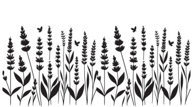 Çiçek Tasarımı için Zarif Lavanta Sahası Siluet Vektörü İllüstrasyonu