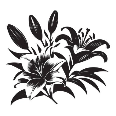 Zarif Tasarımlar İçin Ayrıntılı Lily Çiçeği Siluet Vektörü ResimleriName