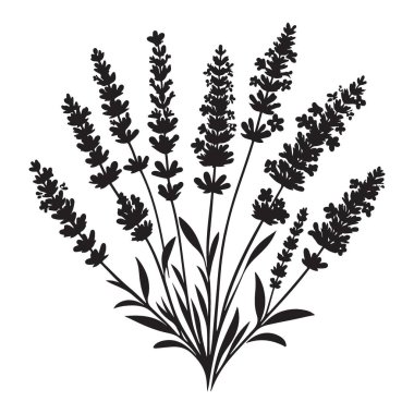 Büyüleyici Lavanta Çiçeği Siluet Vektör İllüstrasyon Bunch Tasarımı