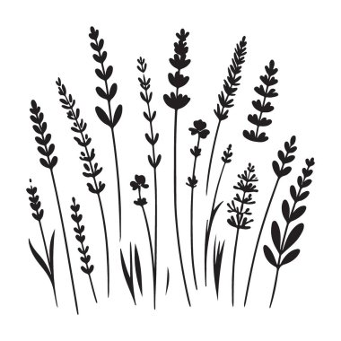 Zarif Lavanta Çiçeği Siluet Vektör İllüzyon Bitkileri