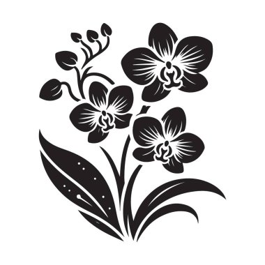 Zarif Orkide Çiçek Vektörü Vektör Siluet Çiçek Dekoratif Sanat Tasarımı