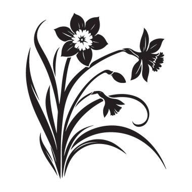 Narcissus Çiçek Silueti Botanik İllüstrasyon Çiçek Bahar Tasarımı