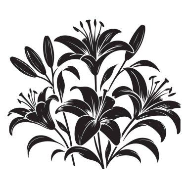 Zarif Lily Çiçek Vektörü Silüet Tasarımı Çiçek Sanatı