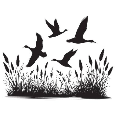 Uçan ördekler, siluet, vahşi yaşam, doğa manzarası.