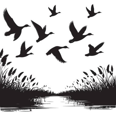 Bataklık Manzarası Üzerinde Uçan Ördek Sürüsü