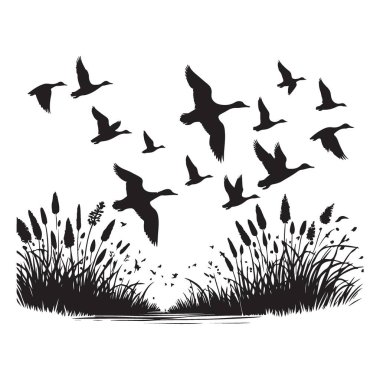 Uçan Kazlar Çimenli Alan Vektörü Sanat Çizimleriyle