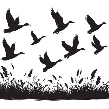 Siluetli Ördekler Otlaklar Üzerinde Uçuyor Sanat Grafiksel ResimleriName