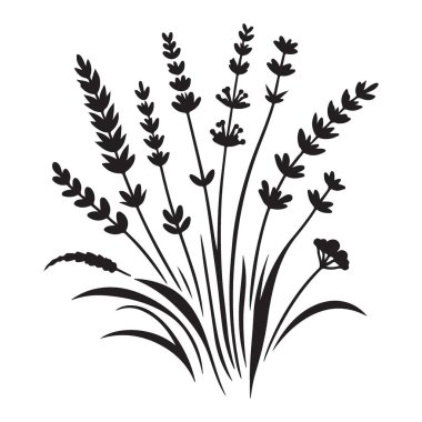 Lavanta Silueti Aromaterapi Tasarımları için Çiçek Vektörü İllüstrasyonu