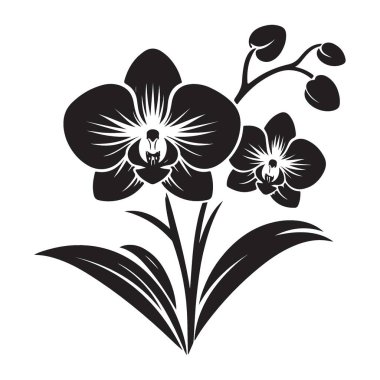 Zarif Çiçek Projeleri için Orkide Silueti Vektör Sanat Tasarımı