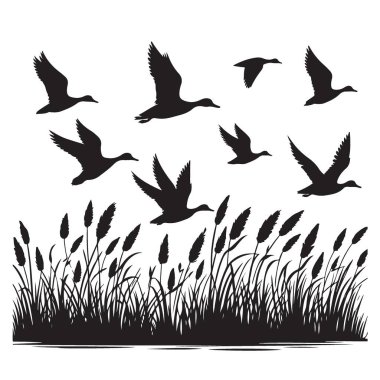Sazlıkların üzerinde uçan siluet ördekler doğa tasarımı için vektör illüstrasyonu