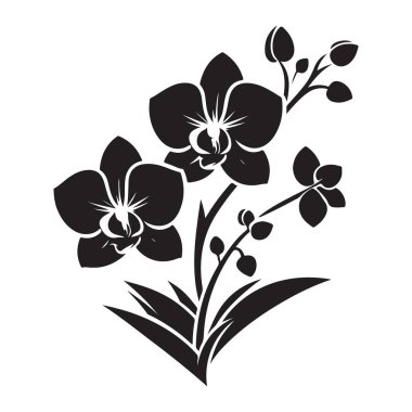 Grafiksel Tasarım için Zarif Orkide Çiçeği Siluet Vektörü İllüstrasyonu