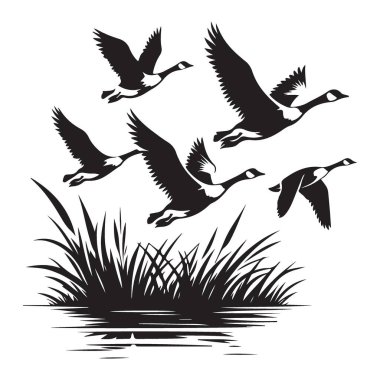 Kanadalı Kazlar Su Kuşu Göç Sanatında Uçuyor