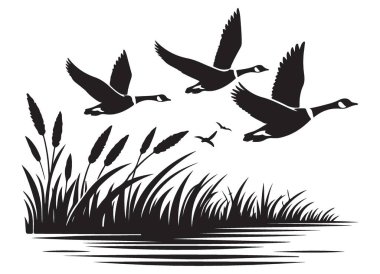 Uçan Siluet 'teki Kazlar Vahşi Yaşam ve Doğa Hevesleri İçin Çizim
