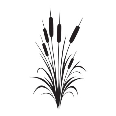 Cattails Siluet Vektör Çizimi Botanik Bitki Doğası Elementi