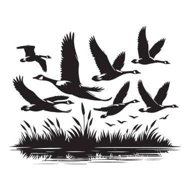 Siluet Kazlar Suyun Üzerinde Uçuyor Sahne Vektörü İllüstrasyonu