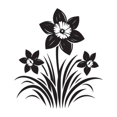 Siyah ve Beyaz nergisler Vektör İllüzyonu Taze Bahar Çiçekleri