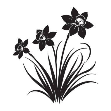 İlkbahar Tasarımları için Zarif Nergis Görüntü Vektörü İllüstrasyonu