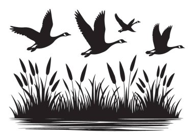 Görüntü Kazları Çizgili Kuyrukların Üzerinde Uçuyor Siluet Vektör ResimleriName