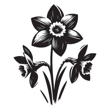 Bahar Tasarımları ve Grafikleri için nergis Çiçeği İllüstrasyon Vektörü