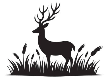 Geyik Silueti Uzun Çimenler Doğal Yaşam Resimlerinde Duruyor