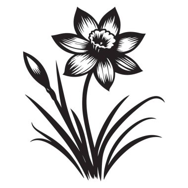 Zarif nergis çiçeği silueti bahar botanik vektör tasviri