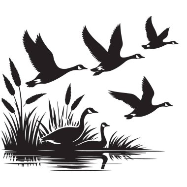 Kanada Kazları Siluet Çizimi Uçma ve Yüzme Vahşi Yaşam Sanatı