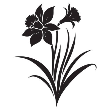 Sanatsal Tasarımlar için Çift nergis silueti İllüstrasyon Bahar Çiçeği