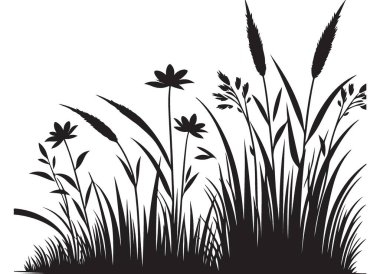 Vahşi Çimen ve Çiçekler Tasarım İçin Zarif Siluet ResimleriName