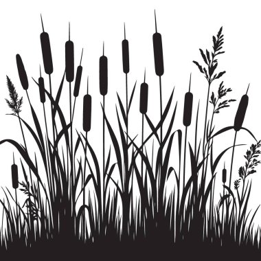 Bataklık Ayarında Çizgili Kuyruk Örtüsü Vektör Grafiği