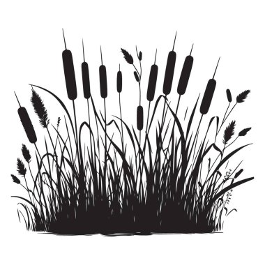 Çizgili kuyruklar ve Çimenler Siluet Vektör Sanat Botanik Çizimi