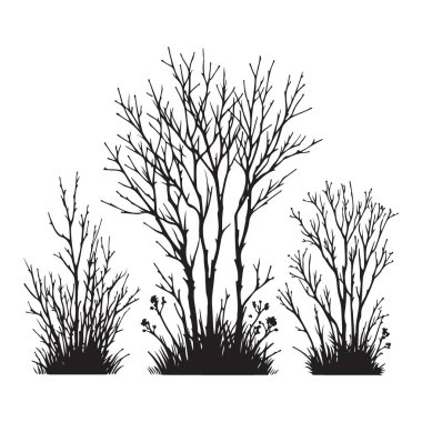 Çıplak Ağaçlar ve Çalıların Silueti Vektör Resimlendirme Grafiksel Sanatı
