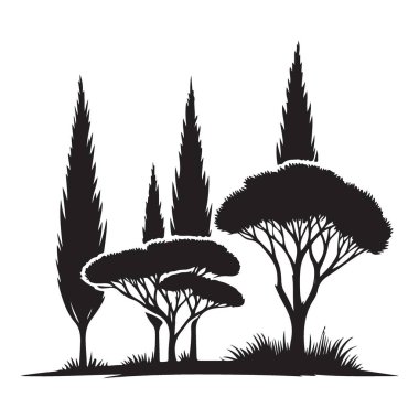 Huzur Ağacı Silüeti Çizimi Doğanın Zarif Geometrisini Yakalıyor