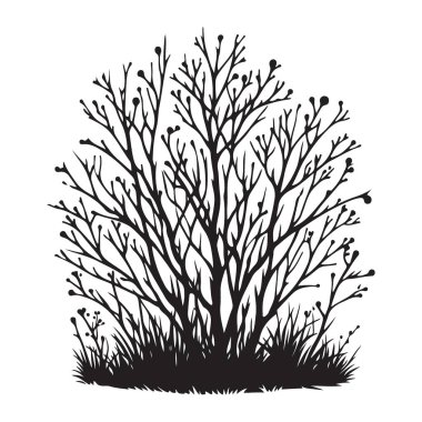 Bramble Silueti Bush Vektör İllüstrasyonu Doğal Detayları Gösterme