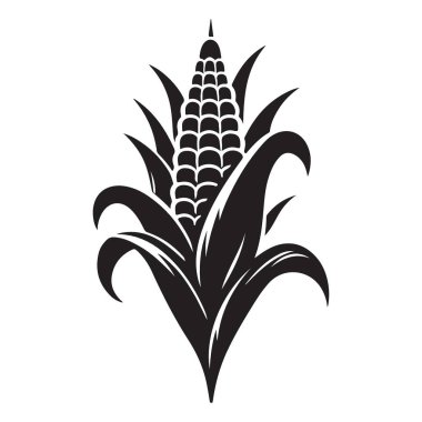 Cob Grafik Çiziminde Siyah Mısırın Silüeti