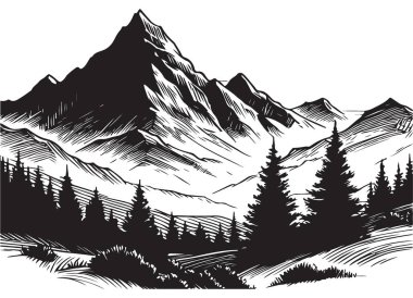 Evergreen Ormanları ile Görkemli Dağ Ovası Manzarası Resimleri