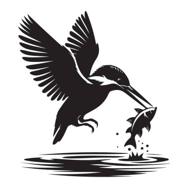 Siluet Kingfisher Balık Yakalayıcı Yaban Hayatı Sanatı