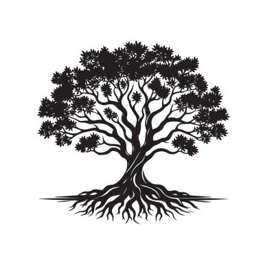 Görkemli Ağaç Silüeti Vektör Resimleri Güçlü Kökler ve Tepe Örtüsü