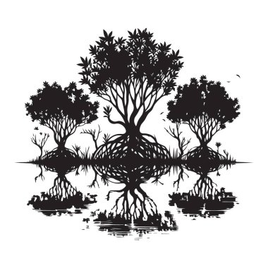Mangrove Ağacı Silüeti Doğa Projeleri Yansımaları Çizimi
