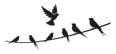 Birds on a Wire Silhouette Illustration Sembolize Özgürlük ve Birlikteliği