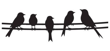 Tasarım Projeleri İçin Kablo Siluet Resimli Vektör Sanatı Üzerinde Kuşlar