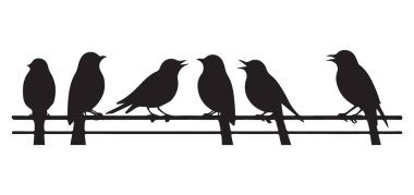 Bir Tel Vektör Siluet Tasarımı Çizimi Üzerinde Büyüleyici Kuşlar