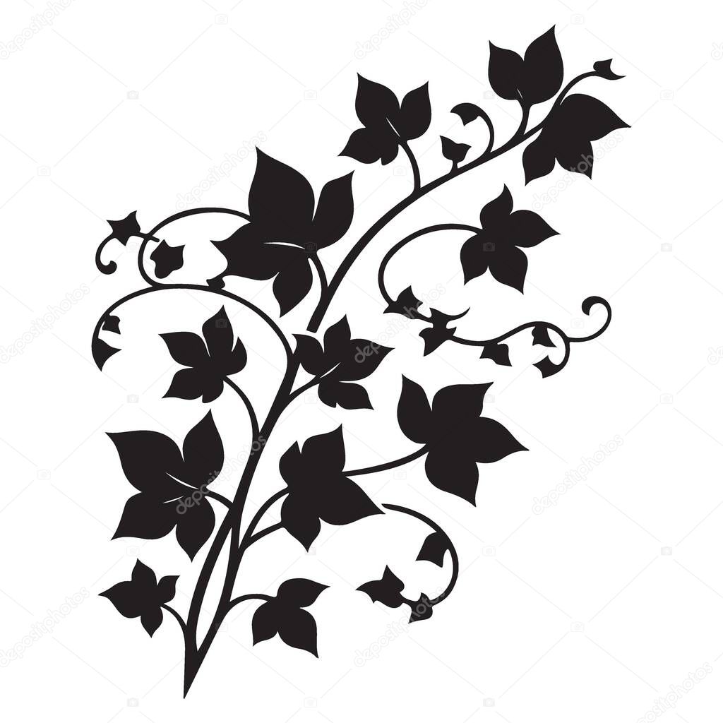 Elegant Black Ivy Silhouette Vector Illustration for Design Projects