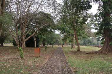 Muara Jambi tapınağındaki yol çok heyecanlı.