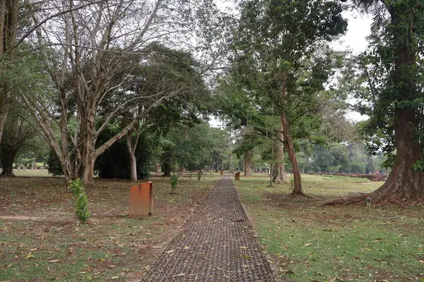 Muara Jambi tapınağındaki yol çok heyecanlı.