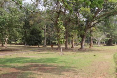 Muara Jambi Tapınağı eski bir Budist tapınağıdır ve Endonezya 'nın Jambi eyaletindeki miraslardan biridir.