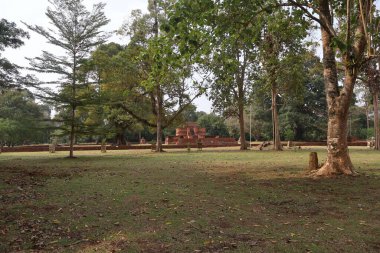 Muara Jambi Tapınağı eski bir Budist tapınağıdır ve Endonezya 'nın Jambi eyaletindeki miraslardan biridir.